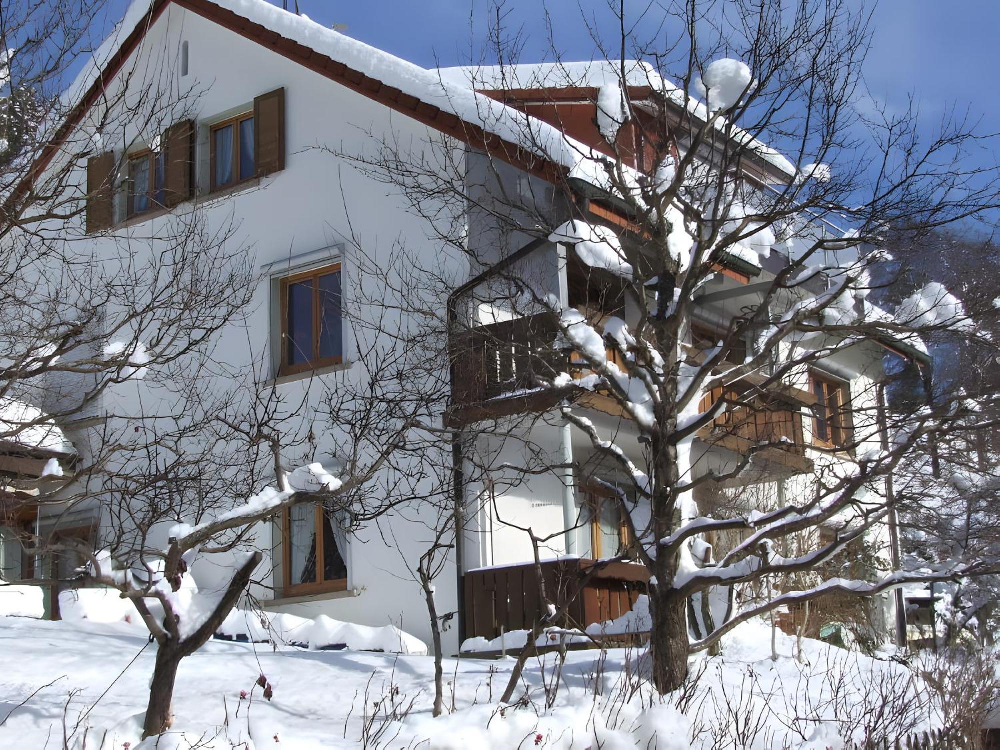 Haus Michler Apartamento Todtnau Exterior foto
